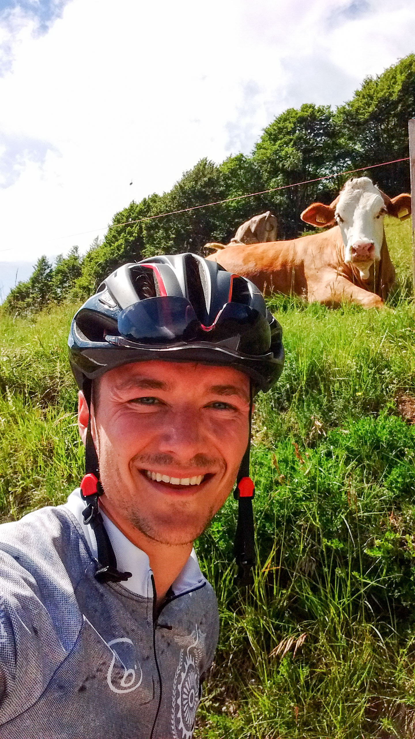 non mancano i selfie con le vacche locali